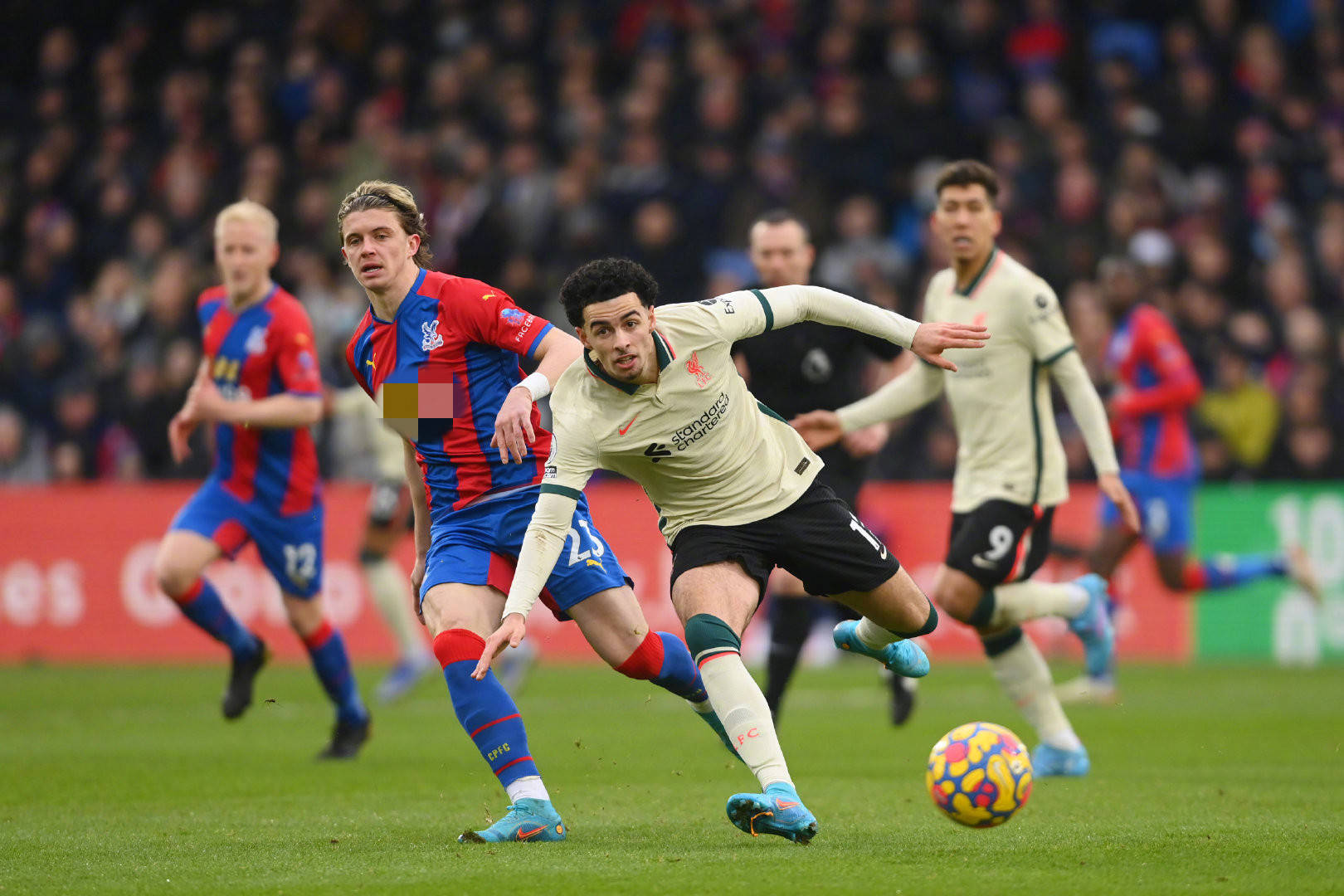 的适应能力 的适应能力